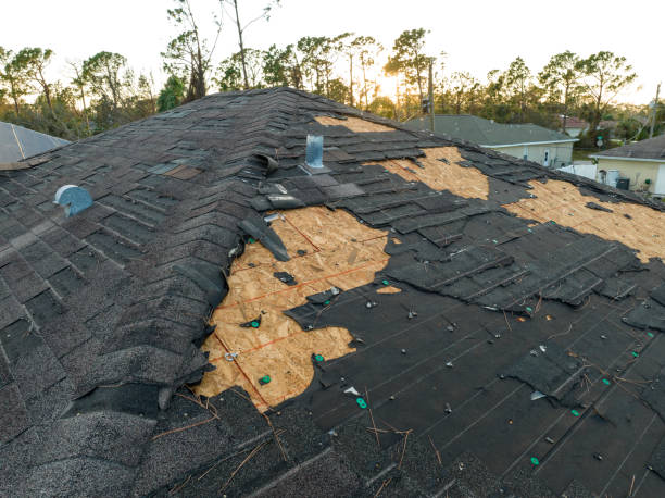 Best Cold Roofs  in Lakeland, GA